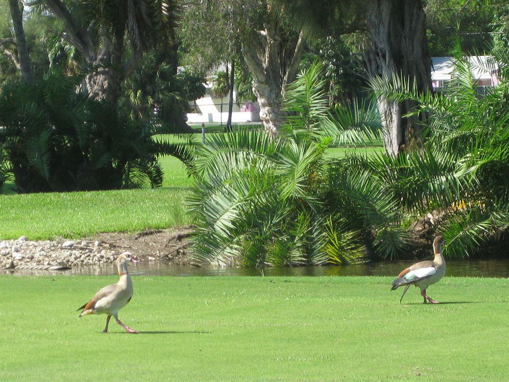 Hollywood Beach Golf Resort Bagian luar foto