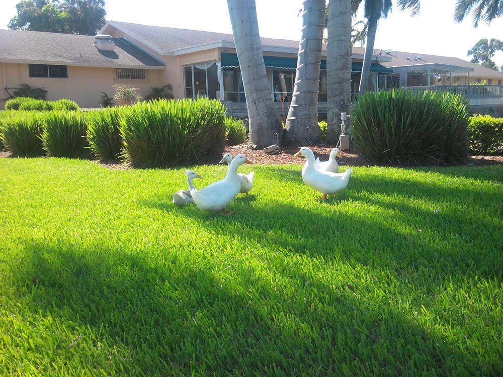 Hollywood Beach Golf Resort Bagian luar foto